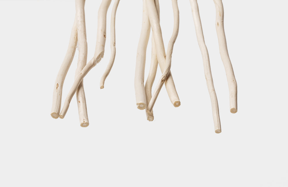 Willow Reed Diffuser Sticks for DIY - pairs with empty bottles