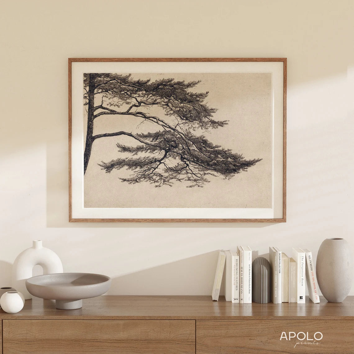 Pine Tree Branch - Print Framed