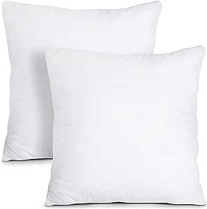 Cushion inserts - matches throw Pillow Covers