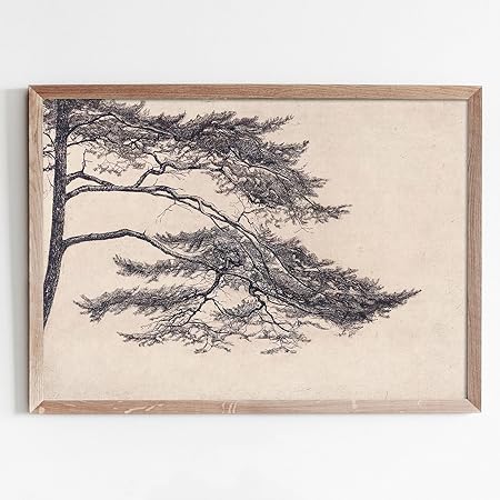 Pine Tree Branch - Print Framed