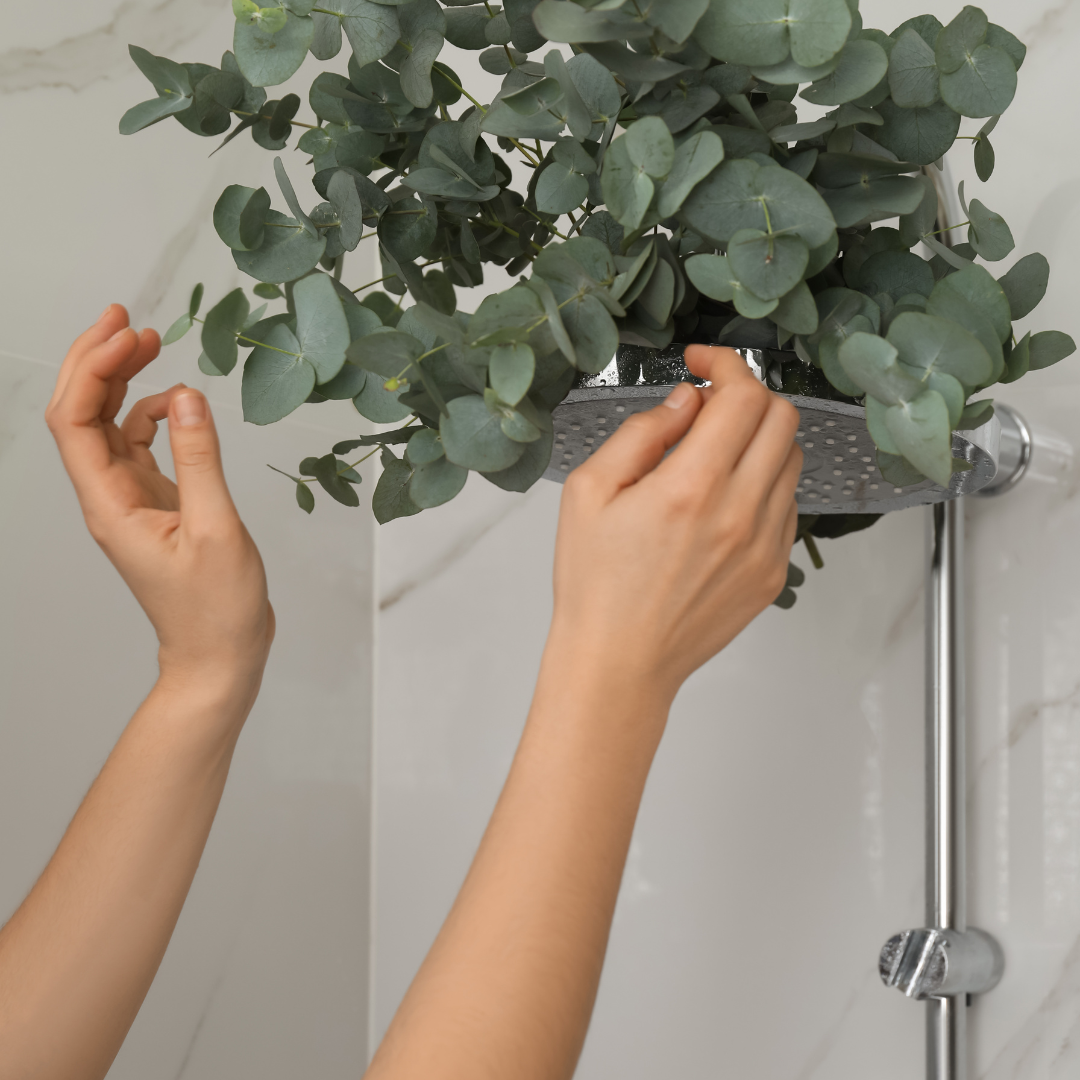 Eucalyptus Shower Bundle