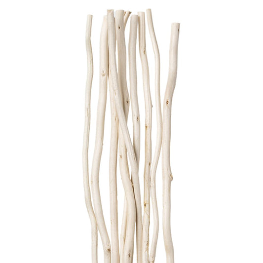 Willow Reed Diffuser Sticks  for DIY - pairs with empty bottles